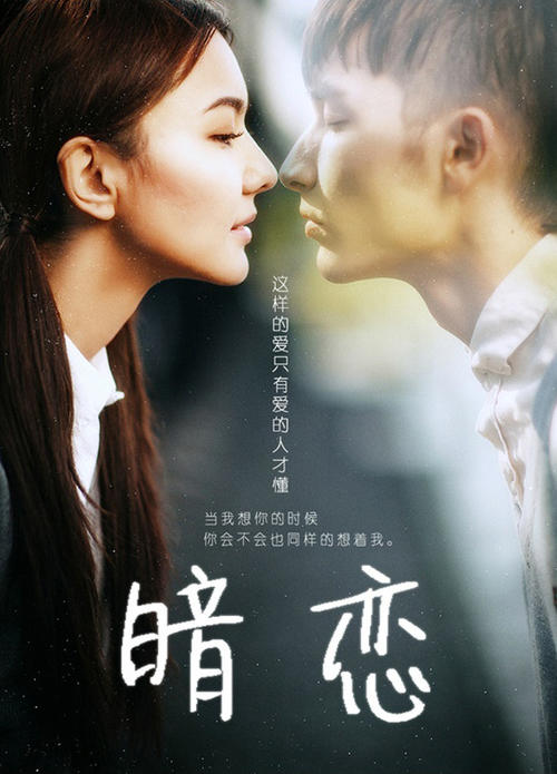 阿姆斯特丹大学市场营销文凭证书
